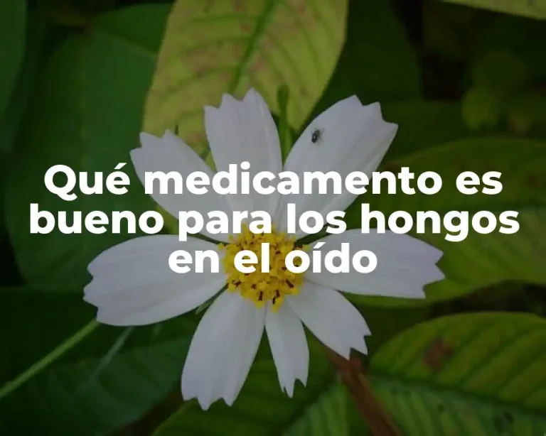 Qué medicamento es bueno para los hongos en el oído