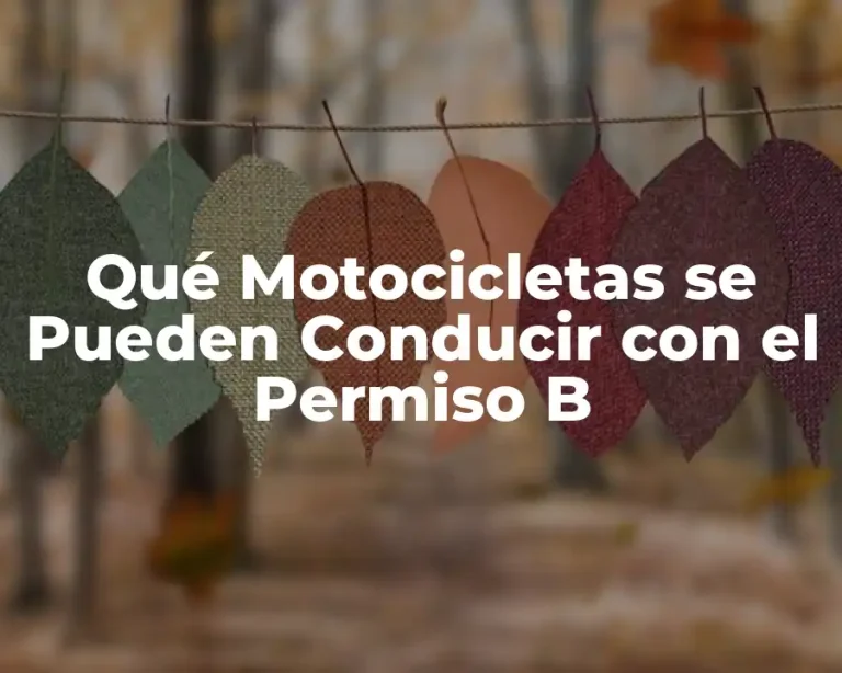 Qué Motocicletas se Pueden Conducir con el Permiso B