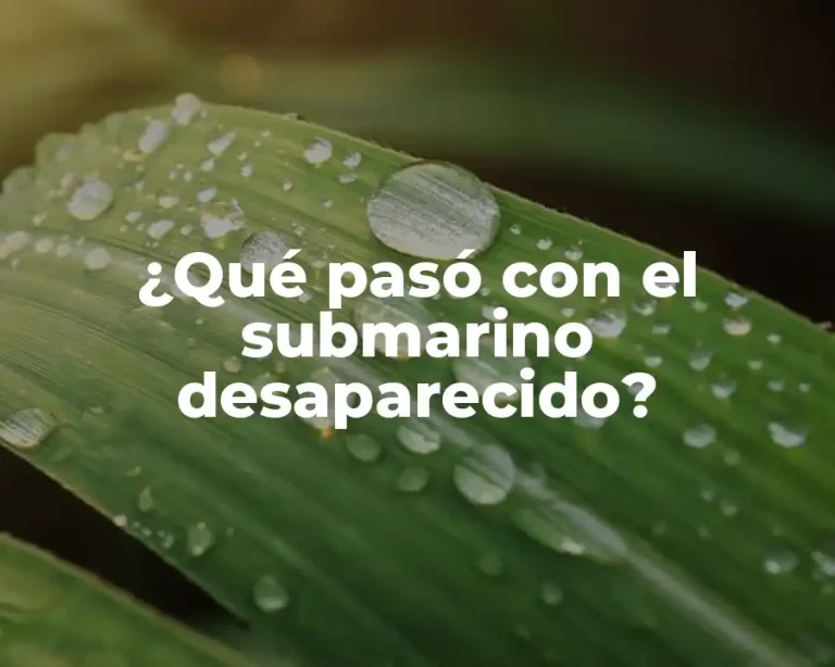 ¿Qué pasó con el submarino desaparecido?