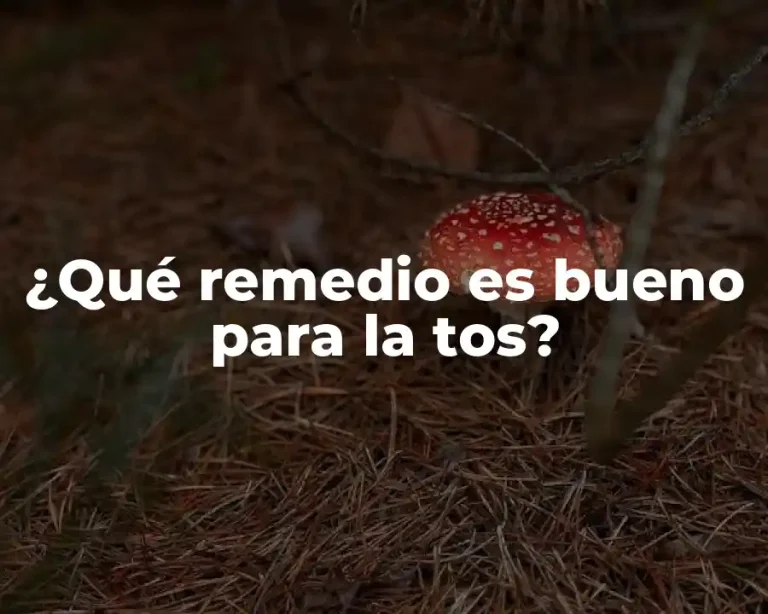 ¿Qué remedio es bueno para la tos?