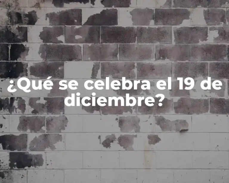 ¿Qué se celebra el 19 de diciembre?