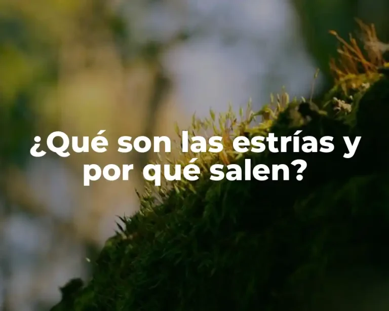 ¿Qué son las estrías y por qué salen?