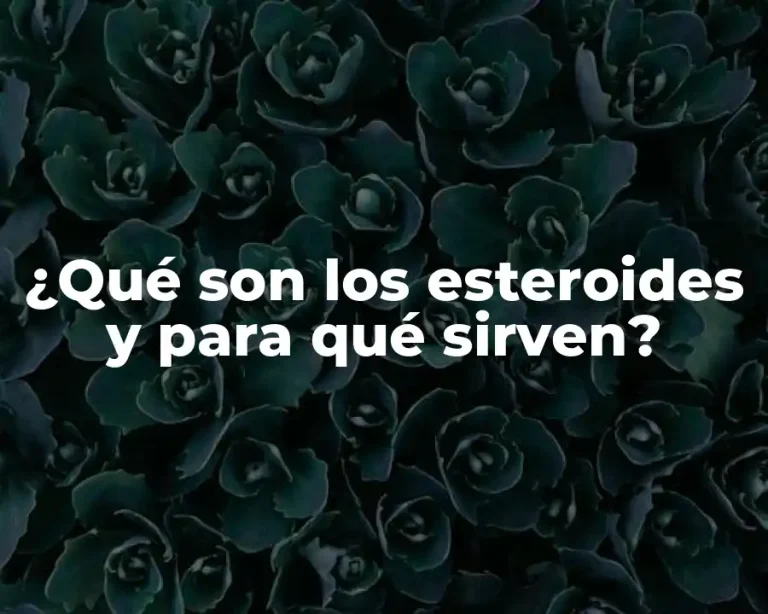 ¿Qué son los esteroides y para qué sirven?