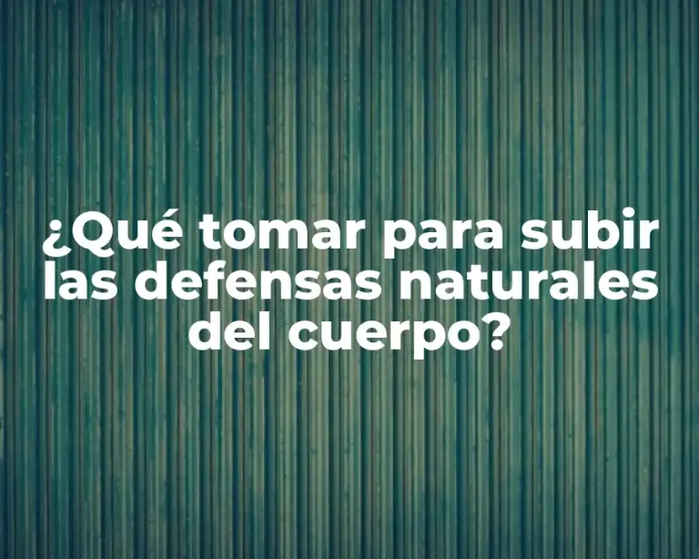 ¿Qué tomar para subir las defensas naturales del cuerpo?