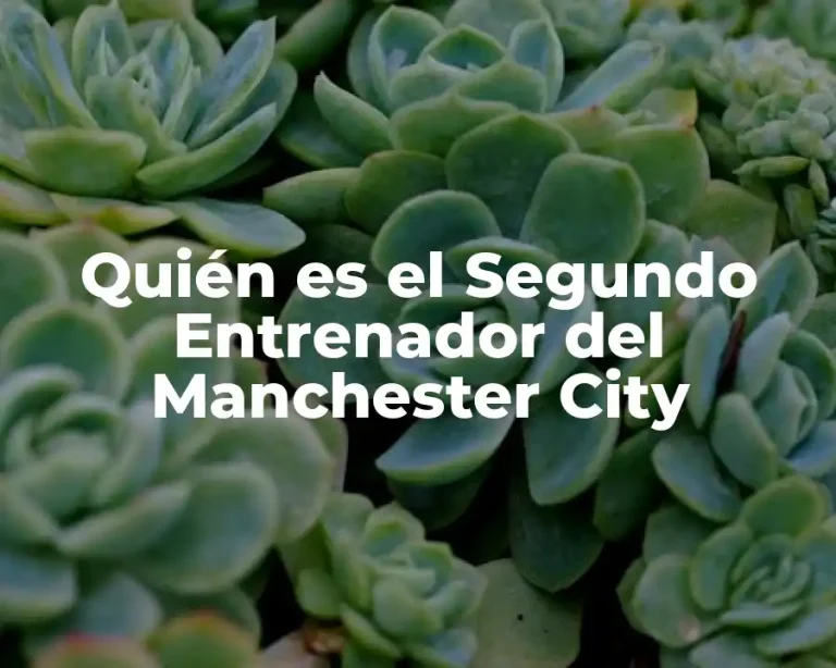 Quién es el Segundo Entrenador del Manchester City
