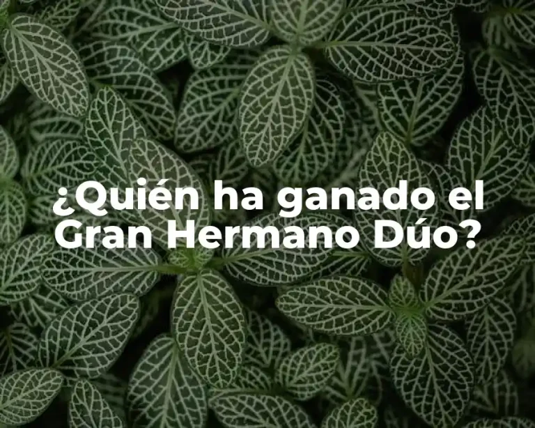 ¿Quién ha ganado el Gran Hermano Dúo?