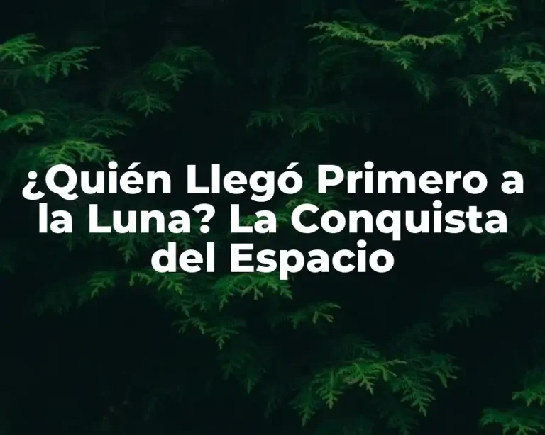 ¿Quién Llegó Primero a la Luna? La Conquista del Espacio