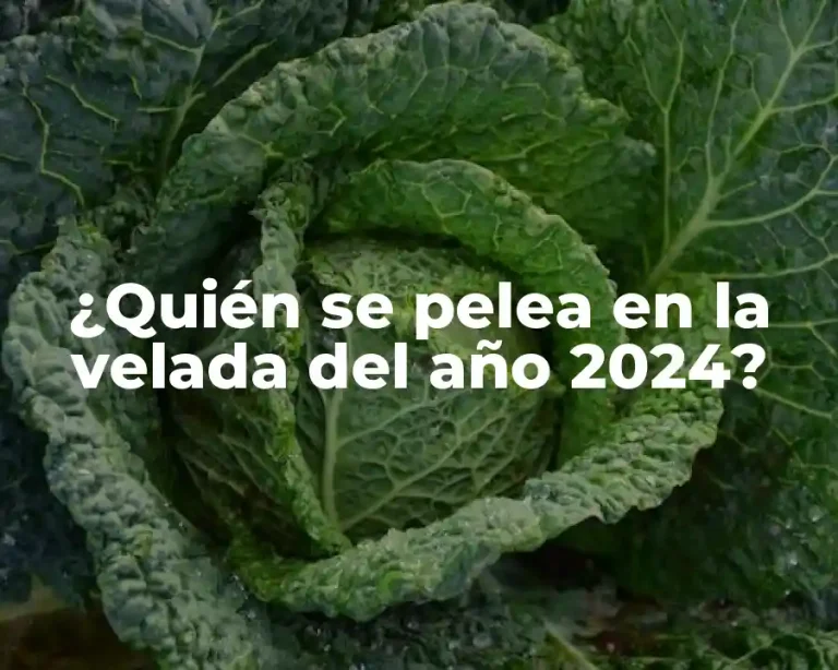 ¿Quién se pelea en la velada del año 2024?