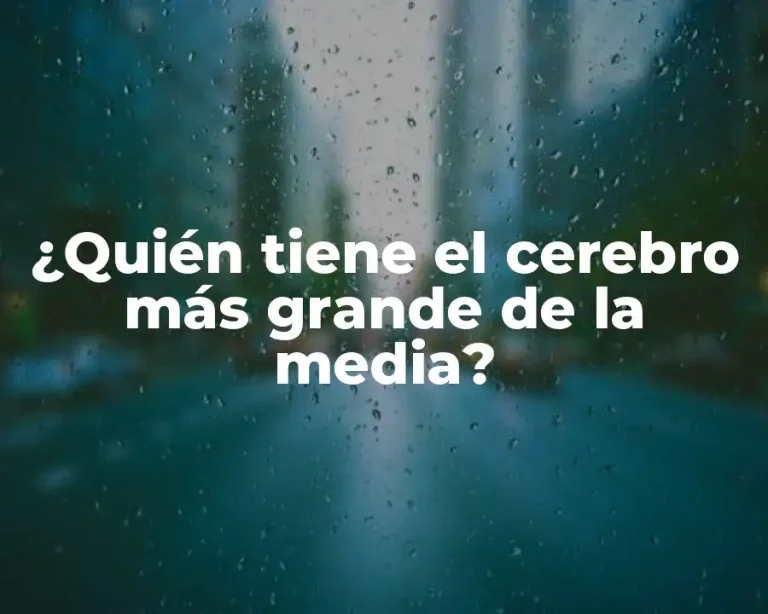 ¿Quién tiene el cerebro más grande de la media?