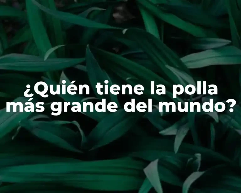 ¿Quién tiene la polla más grande del mundo?