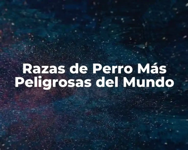 Razas de Perro Más Peligrosas del Mundo
