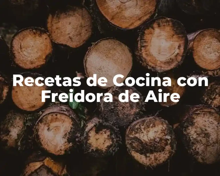 Recetas de Cocina con Freidora de Aire
