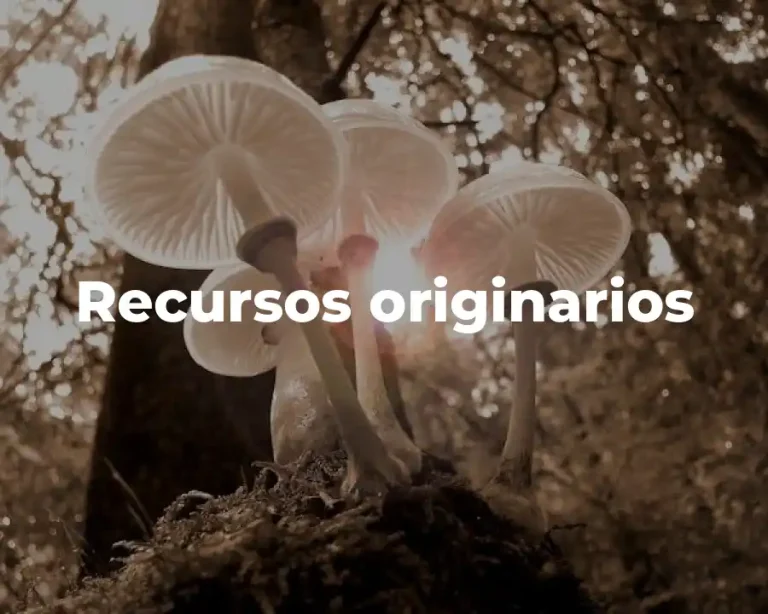 Recursos originarios