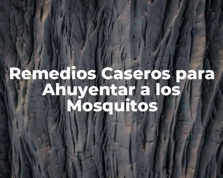 Remedios Caseros para Ahuyentar a los Mosquitos