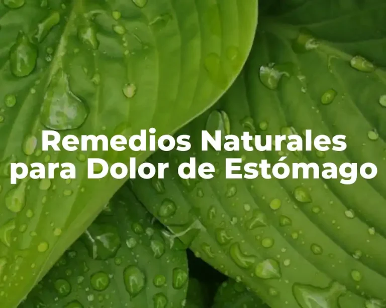 Remedios Naturales para Dolor de Estómago