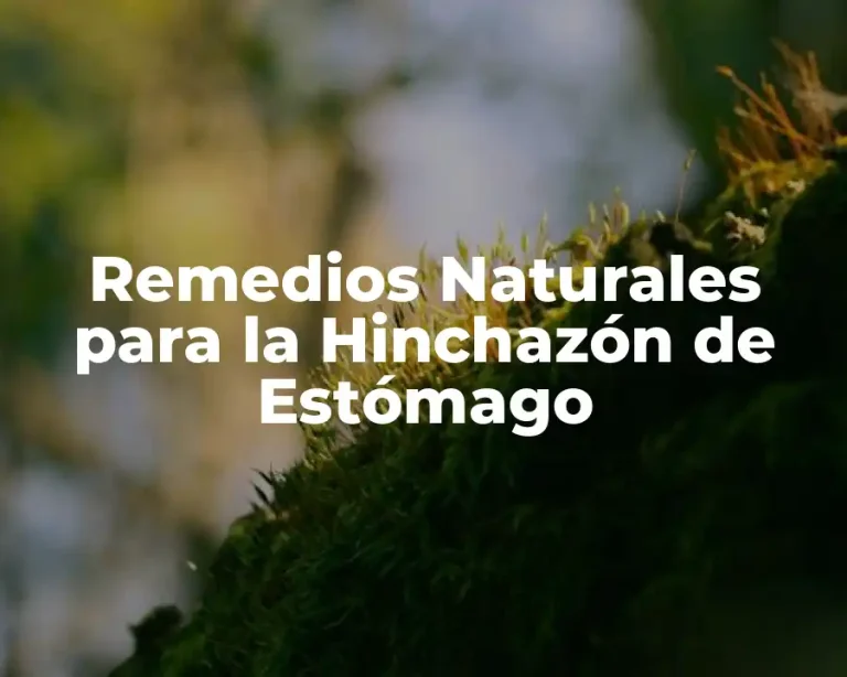 Remedios Naturales para la Hinchazón de Estómago