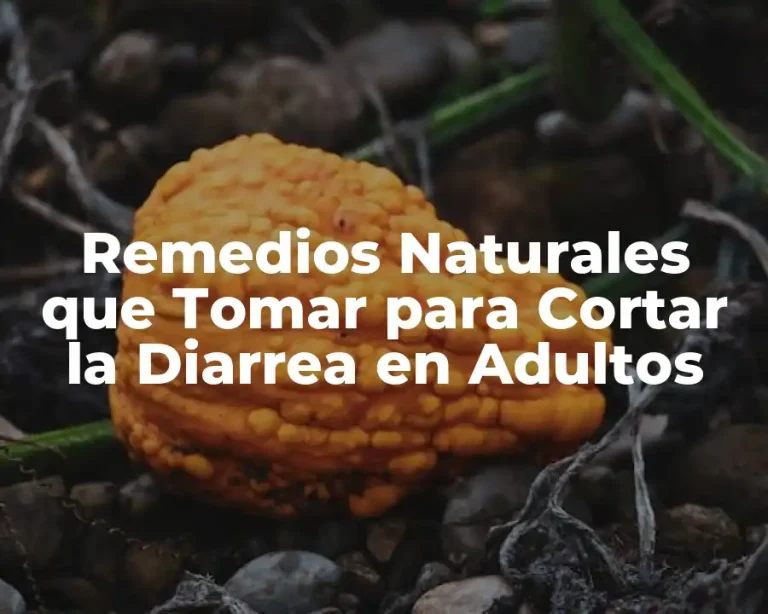 Remedios Naturales que Tomar para Cortar la Diarrea en Adultos