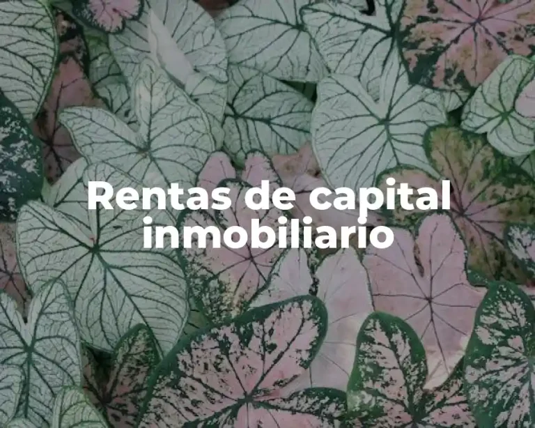 Rentas de capital inmobiliario