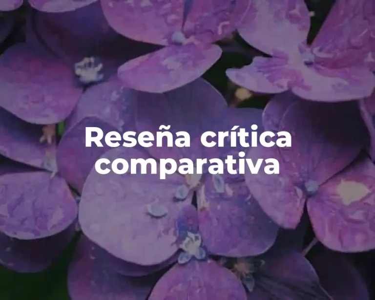 Reseña crítica comparativa