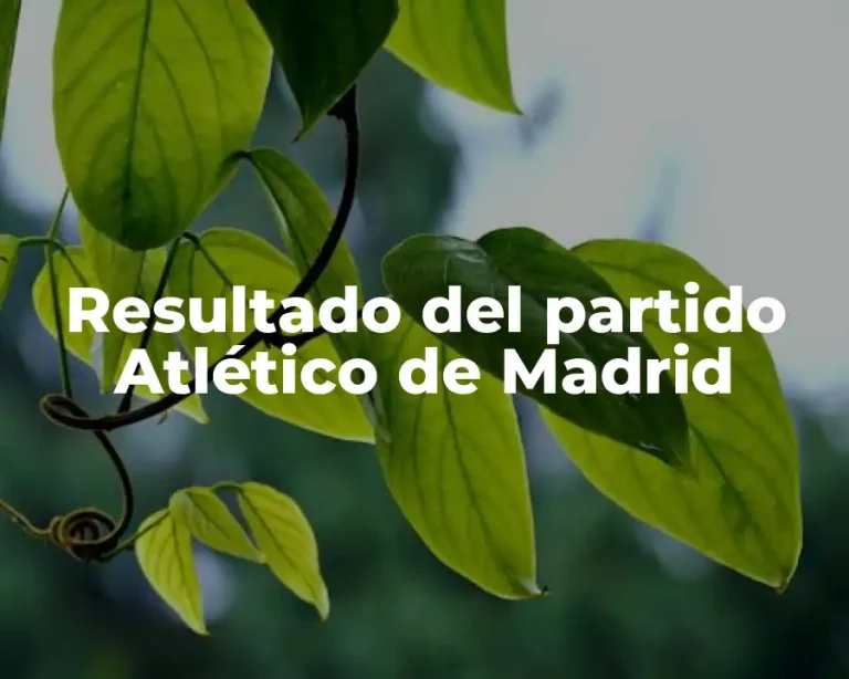 Resultado del partido Atlético de Madrid
