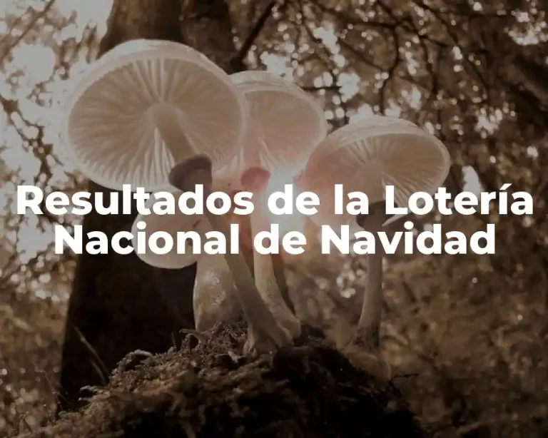 Resultados de la Lotería Nacional de Navidad
