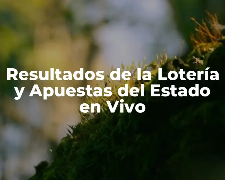 Resultados de la Lotería y Apuestas del Estado en Vivo