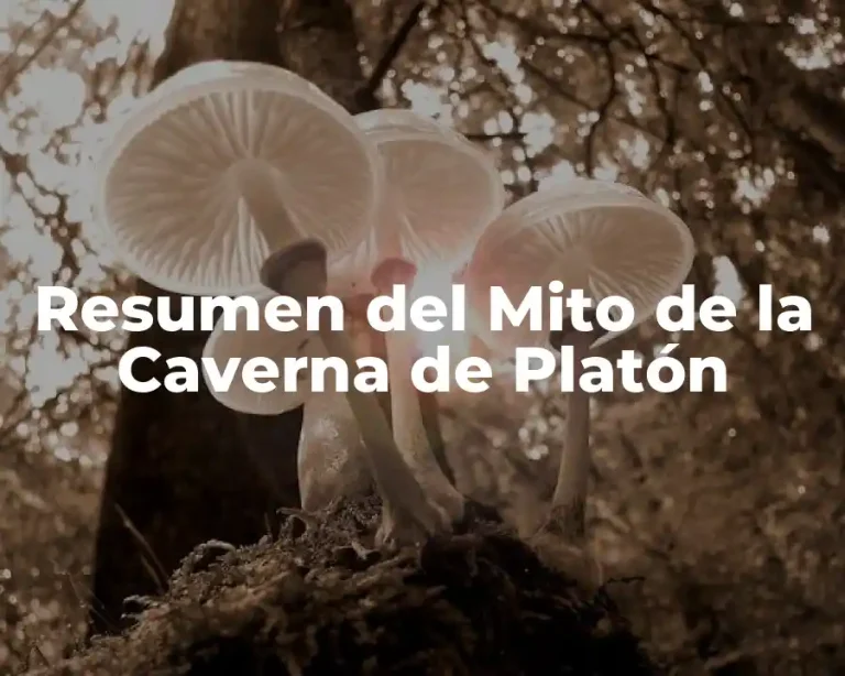 Resumen del Mito de la Caverna de Platón
