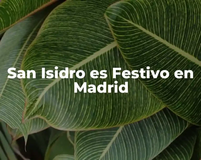 San Isidro es Festivo en Madrid