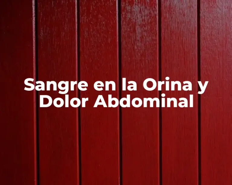 Sangre en la Orina y Dolor Abdominal