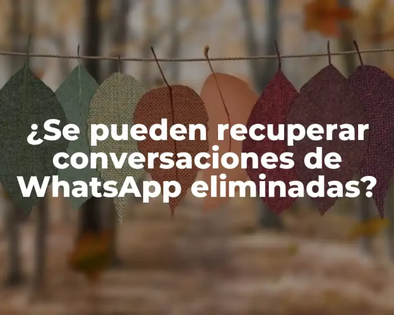 ¿Se pueden recuperar conversaciones de WhatsApp eliminadas?
