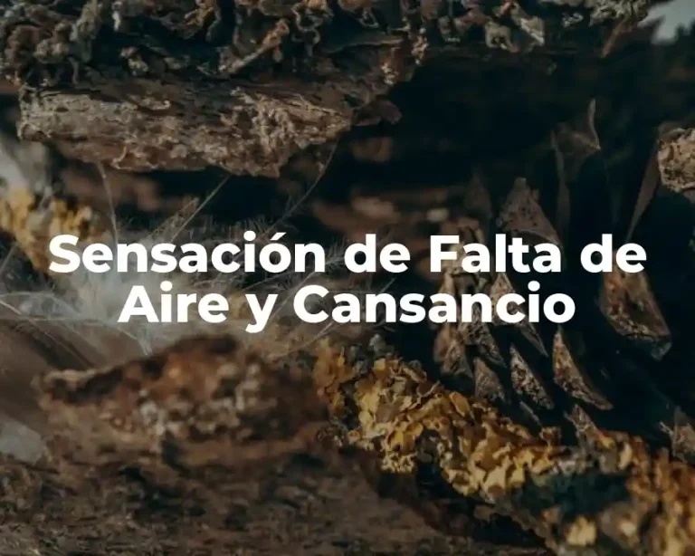 Sensación de Falta de Aire y Cansancio