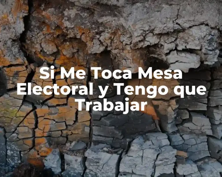 Si Me Toca Mesa Electoral y Tengo que Trabajar