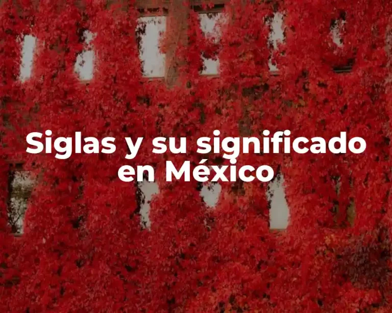 Siglas y su significado en México