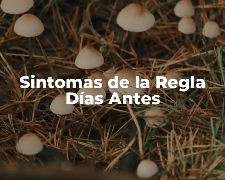Sintomas de la Regla Días Antes