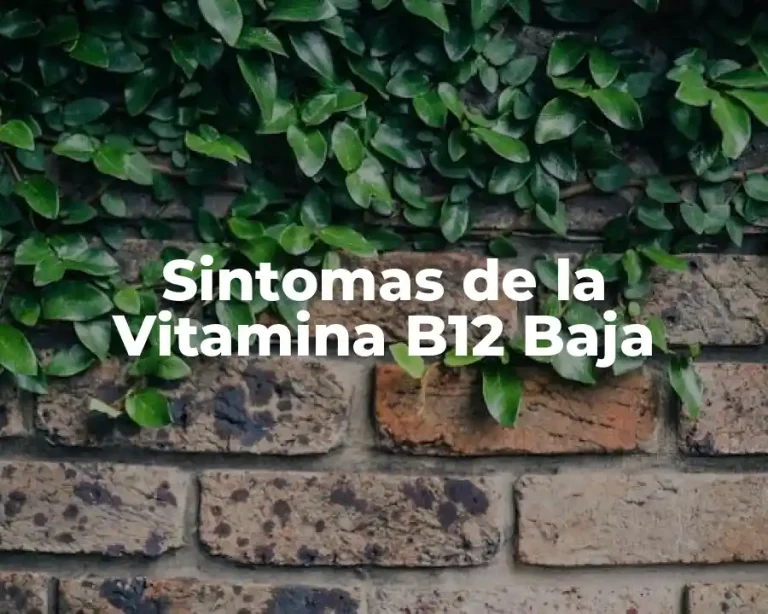 Sintomas de la Vitamina B12 Baja