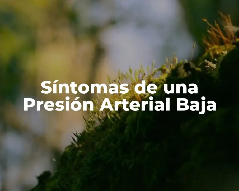 Síntomas de una Presión Arterial Baja