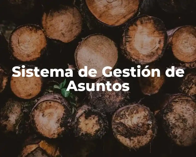 Sistema de Gestión de Asuntos
