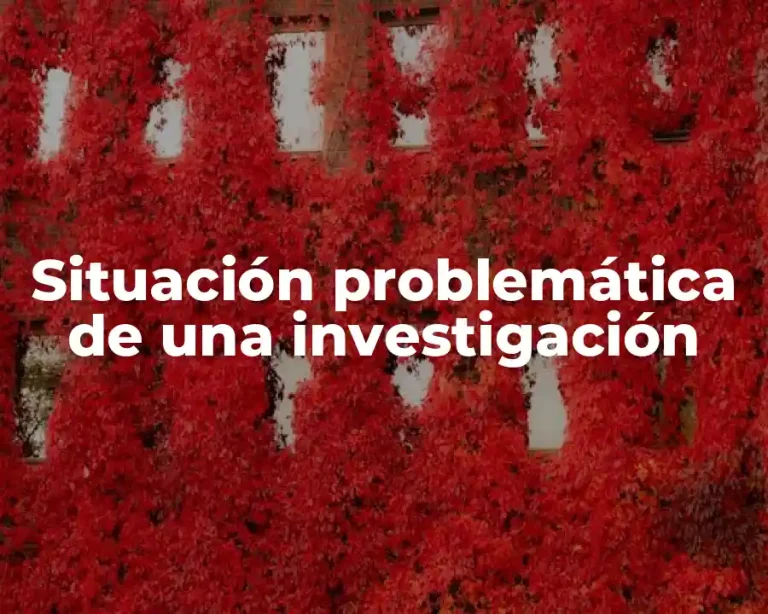 Situación problemática de una investigación