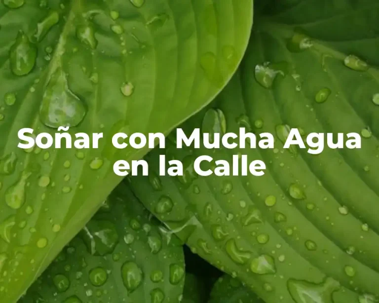 Soñar con Mucha Agua en la Calle