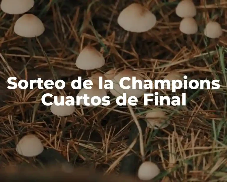 Sorteo de la Champions Cuartos de Final