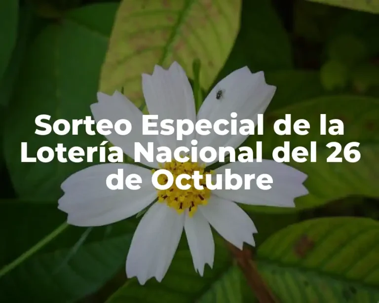 Sorteo Especial de la Lotería Nacional del 26 de Octubre