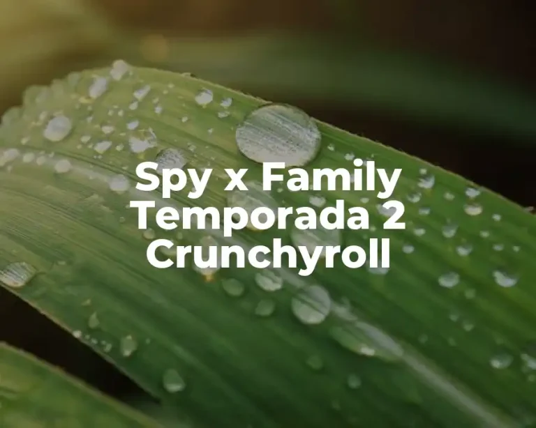 Spy x Family Temporada 2 Crunchyroll