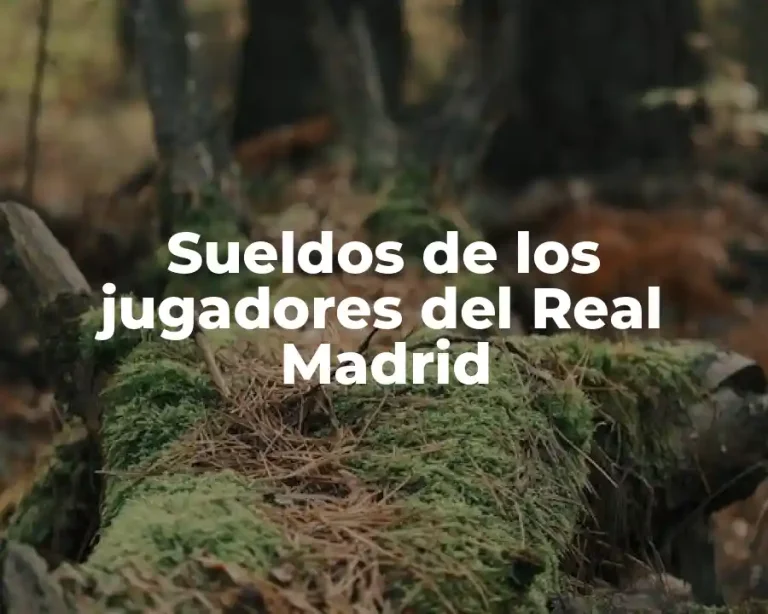 Sueldos de los jugadores del Real Madrid