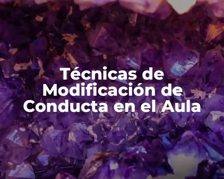 Técnicas de Modificación de Conducta en el Aula