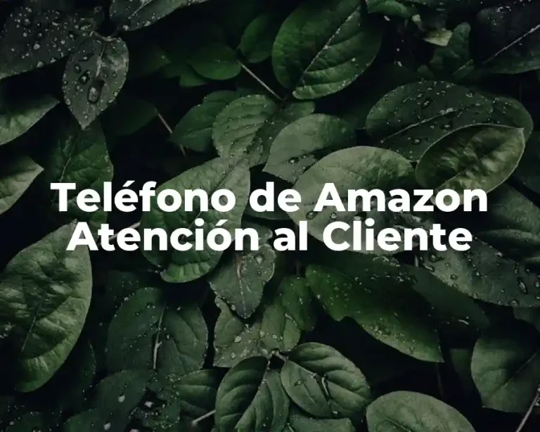Teléfono de Amazon Atención al Cliente