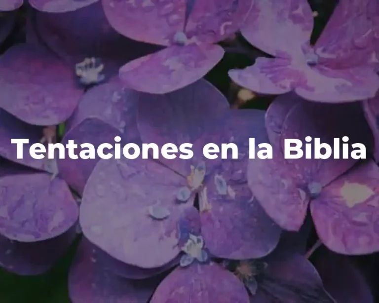 Tentaciones en la Biblia