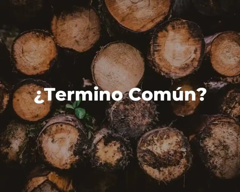 ¿Termino Común?