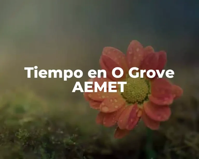 Tiempo en O Grove AEMET