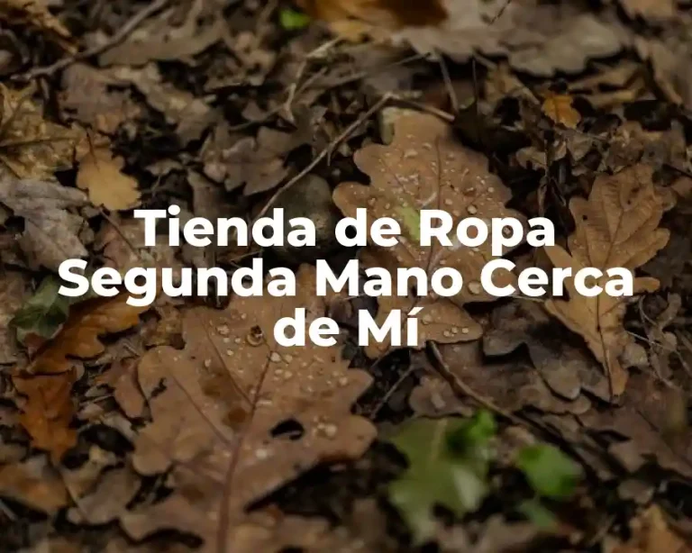 Tienda de Ropa Segunda Mano Cerca de Mí