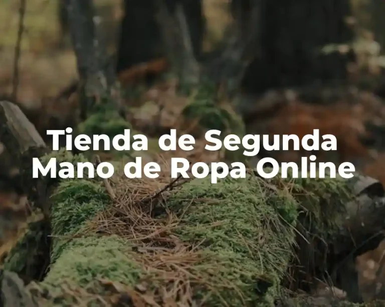 Tienda de Segunda Mano de Ropa Online
